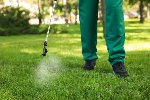 Best Residential Pest Control  in Clifton, IL