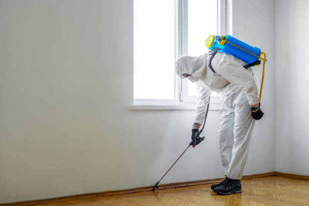 Best Cockroach Control Services  in Clifton, IL