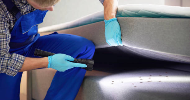 Reliable Clifton, IL Pest Control Solutions